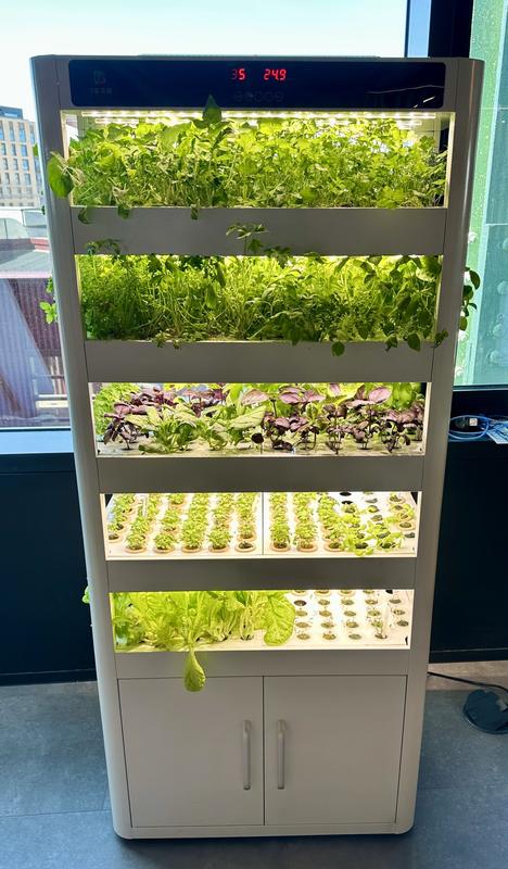 A Harvestory GrowStation cabinet full of salad leaves and herbs