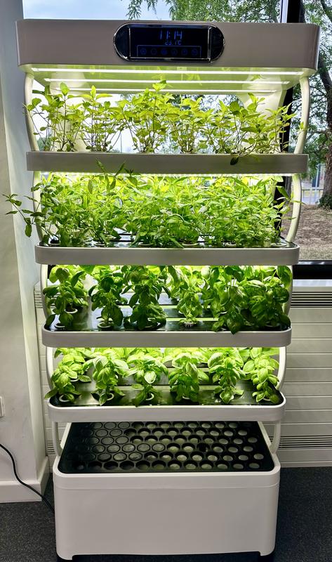 A Harvestory growing cabinet of herbs and salad leaves in a residential communal space