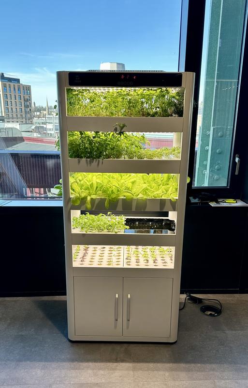 A growing cabinet beside tall office windows