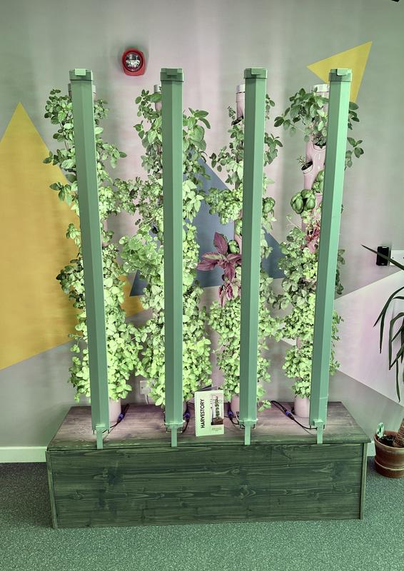 A living wall of five illuminated growing towers