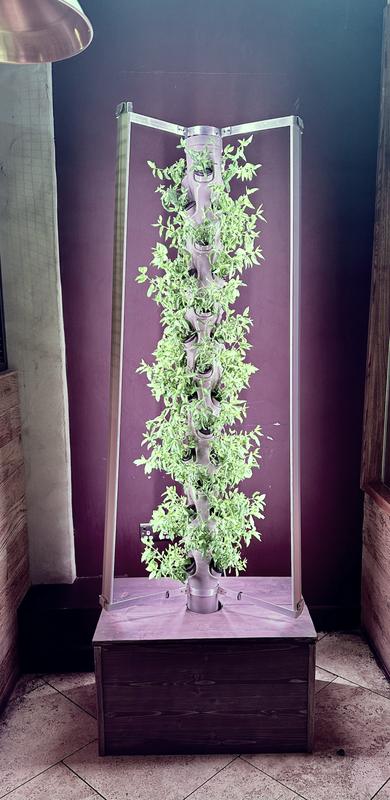 A vertical growing tower lit inside a bar