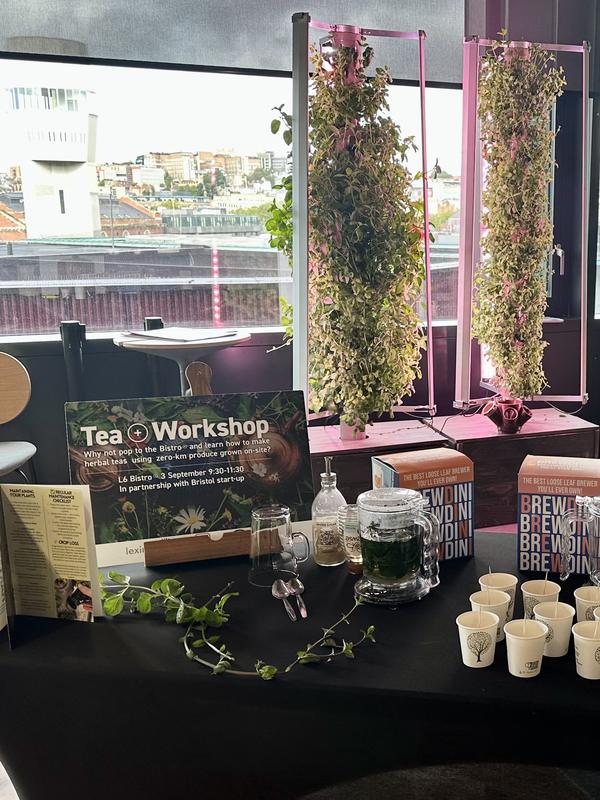A Harvestory tea workshop laid out beside a growing tower